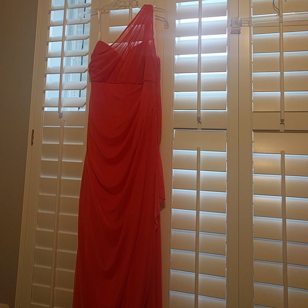 Worn David's Bridal Guava Mesh Illusion Dress